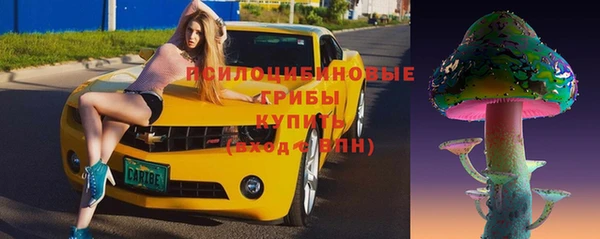 крисы Липки
