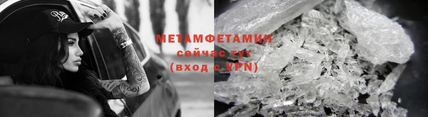 крисы Липки