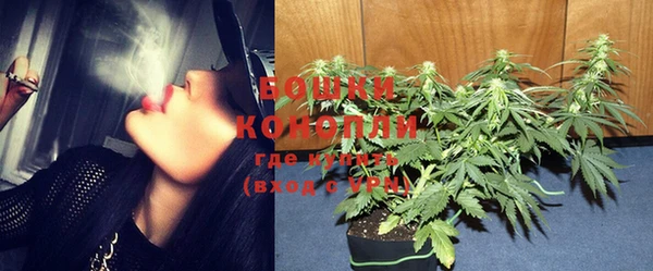 крисы Липки