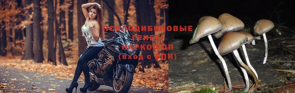 прущая мука Лихославль