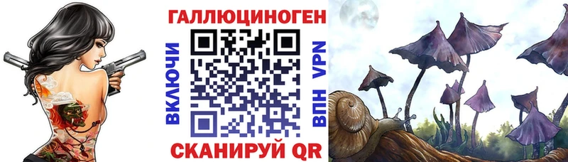 Псилоцибиновые грибы мухоморы  Купить закладки  Тында 